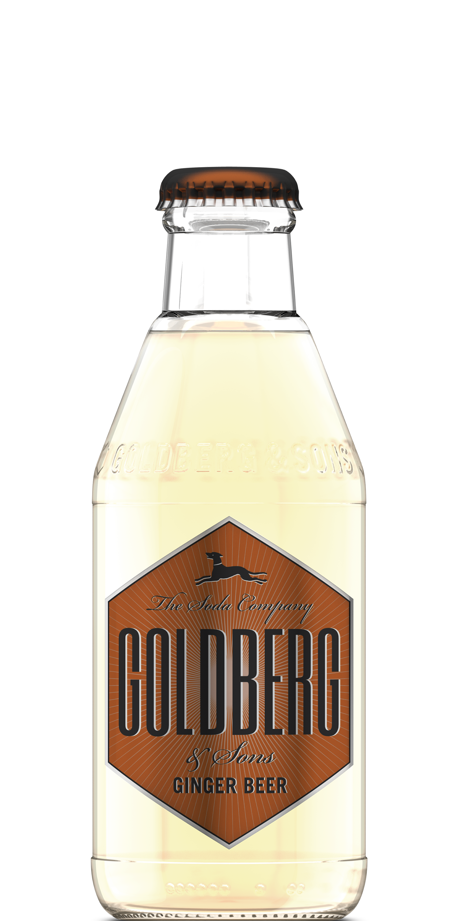 GOLDBERG-Ginger-Beer-200ml.png