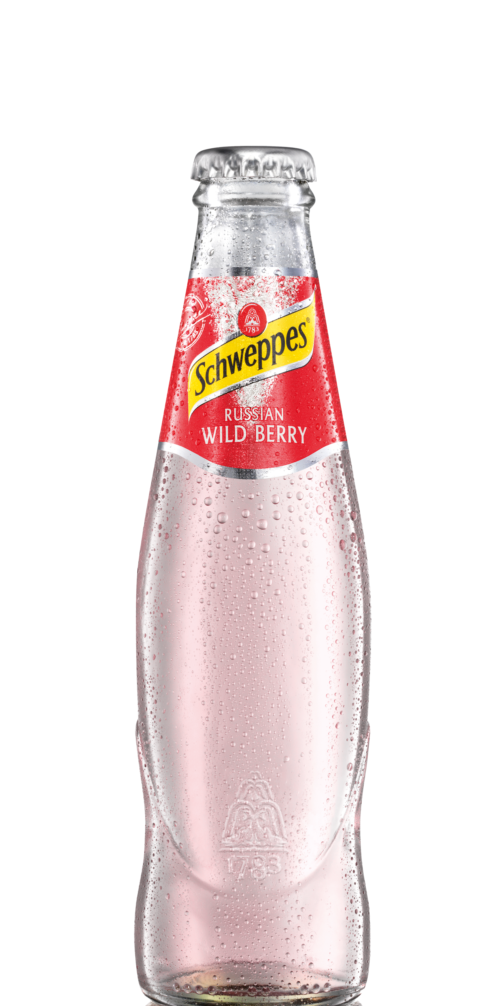 Schweppes-Russian-Wildberry-200ml-3500h.png